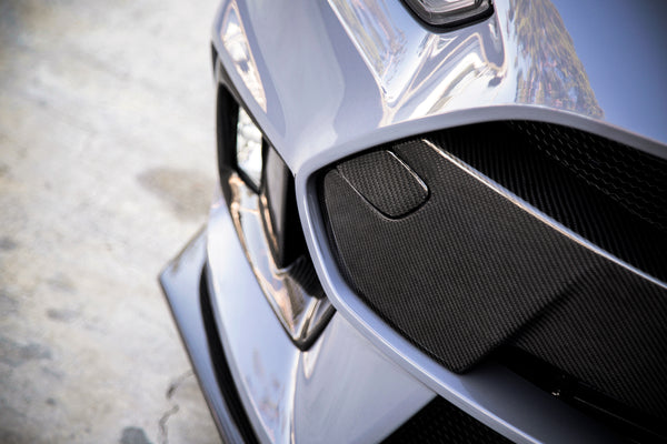 2016 - 2018 Ford Focus RS Carbon Fiber Front Bumper Insert