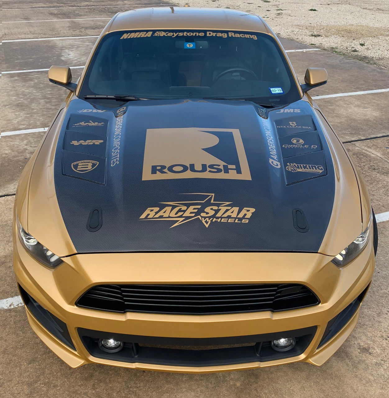 Anderson Composites Carbon Nebellicht-Abdeckung für Ford Mustang