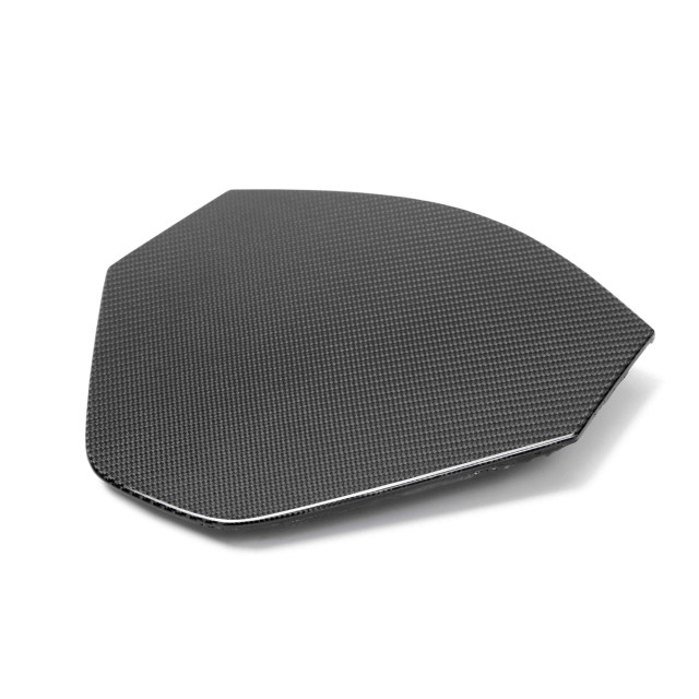 Carbon fiber decklid housing panel for 2020-2024 Chevrolet C8 (coupe)